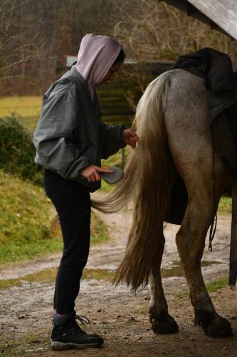 DSC 1404